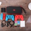 Nintendo Switch Case and Accessory Shit
